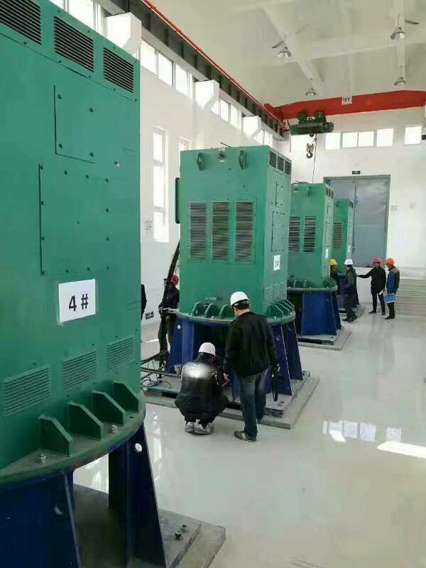 Y7106-12某污水处理厂使用我厂的立式高压电机安装现场