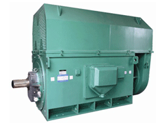 Y7106-12Y系列6KV高压电机
